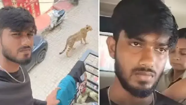 तेंदुए के साथ वायरल तस्वीर के लिए युवक गिरफ्तार, निकला AI का मज़ाक