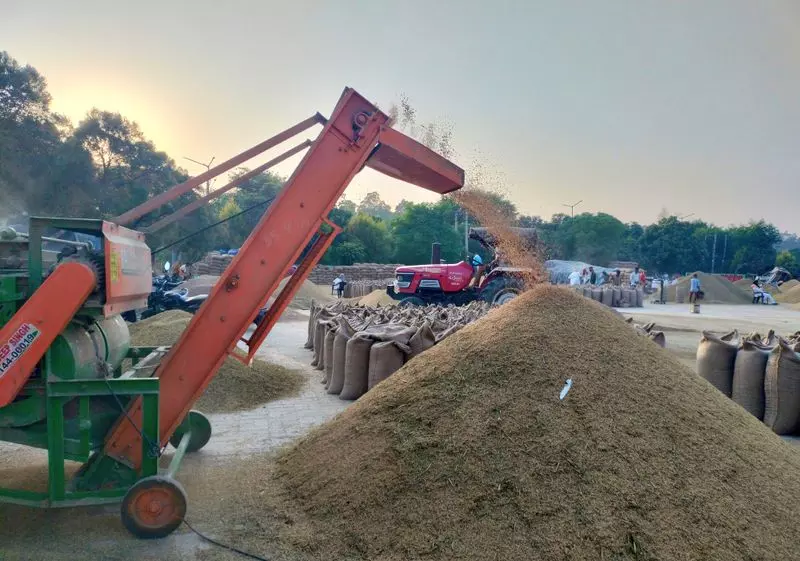 Ambala के किसानों ने मिलों में चावल की आवक की जांच की मांग की Ambala के किसानों ने मिलों में चावल की आवक की जांच की मांग की