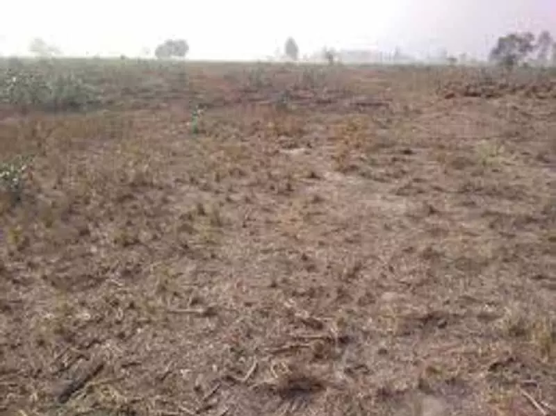 नवांशहर के व्यवसायी ने NGO को 1.25 एकड़ जमीन दान की नवांशहर के व्यवसायी ने NGO को 1.25 एकड़ जमीन दान की