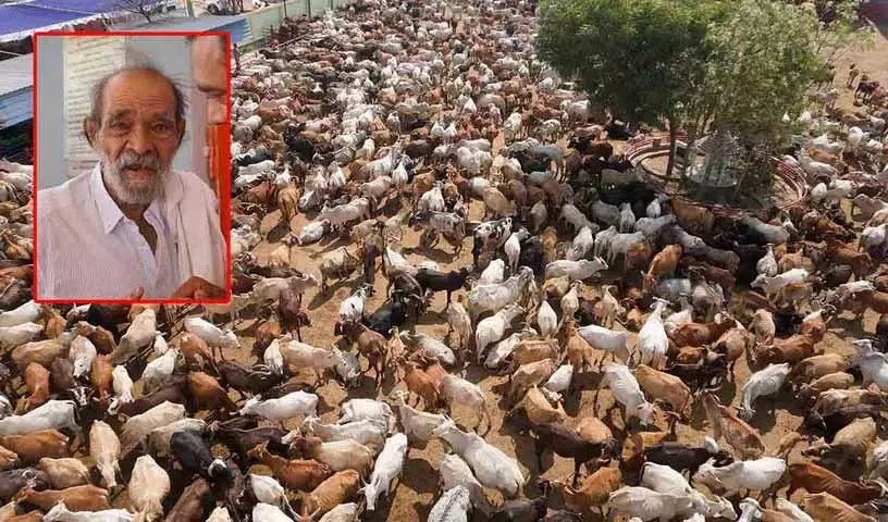 Hyderabad के नंगे पांव गौ रक्षक ने गौ निवास की शुरुआत की, 25 साल पूरे Hyderabad के नंगे पांव गौ रक्षक ने गौ निवास की शुरुआत की, 25 साल पूरे