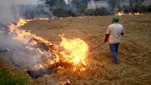 Punjab, में खेतों में आग लगने की 321 नई घटनाएं, मृतकों की संख्या बढ़कर 2,839 हुई