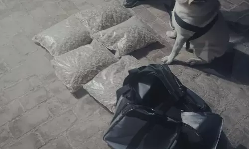 Fatehabad के चार पैरों वाले योद्धाओं ने साहसिक छापेमारी में हथियारों का जखीरा खोजा Fatehabad के चार पैरों वाले योद्धाओं ने साहसिक छापेमारी में हथियारों का जखीरा खोजा