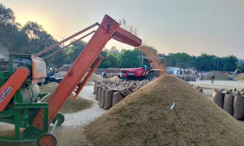 Ambala के किसानों ने मिलों में चावल की आवक की जांच की मांग की