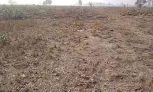 नवांशहर के व्यवसायी ने NGO को 1.25 एकड़ जमीन दान की