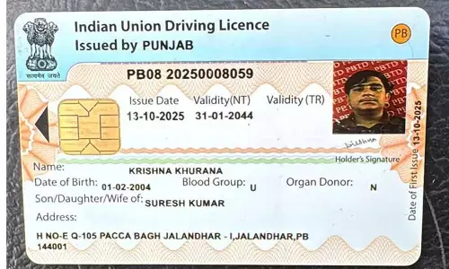 Canada में अध्ययन वीज़ा पर युवाओं के लिए ड्राइविंग लाइसेंस जारी किए जाने पर कार्यकर्ता ने उठाए सवाल