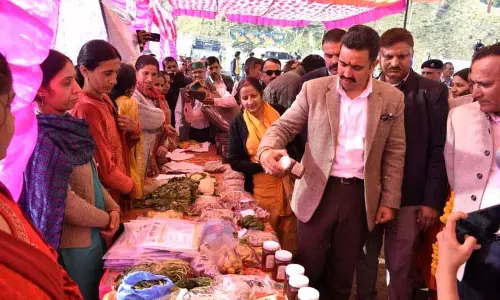 2.22 लाख किसानों ने प्राकृतिक खेती अपनाई: Vikramaditya