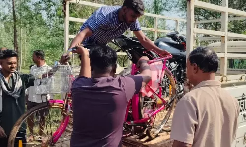 बुजुर्ग समेत 3 की दुर्ग सड़क हादसे में मौत