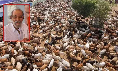 Hyderabad के नंगे पांव गौ रक्षक ने गौ निवास की शुरुआत की, 25 साल पूरे Hyderabad के नंगे पांव गौ रक्षक ने गौ निवास की शुरुआत की, 25 साल पूरे