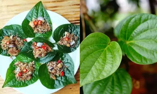 पान का पत्ता: स्वाद के साथ Health का खजाना