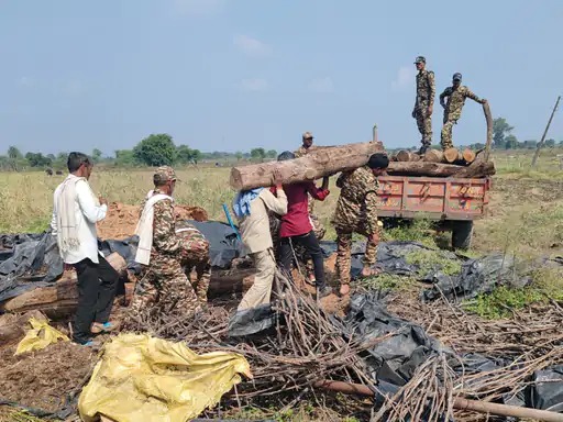 बेगमगंज में वन विभाग ने अवैध सागौन जब्त किया
