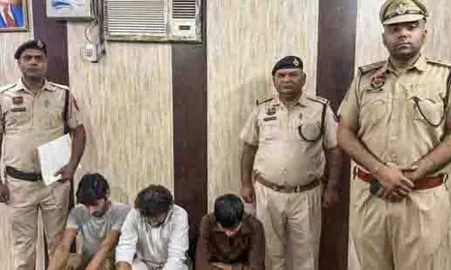Gurugram में घायल आवारा कुत्ते की हत्या के आरोप में तीन गिरफ्तार