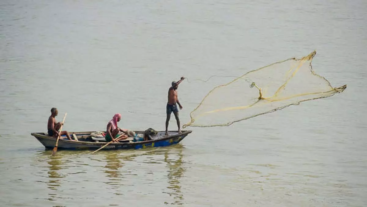 महाराष्ट्र में अवैध पर्स सीन और LED मछली पकड़ने के तरीकों की SIT जांच की मांग की महाराष्ट्र में अवैध पर्स सीन और LED मछली पकड़ने के तरीकों की SIT जांच की मांग की