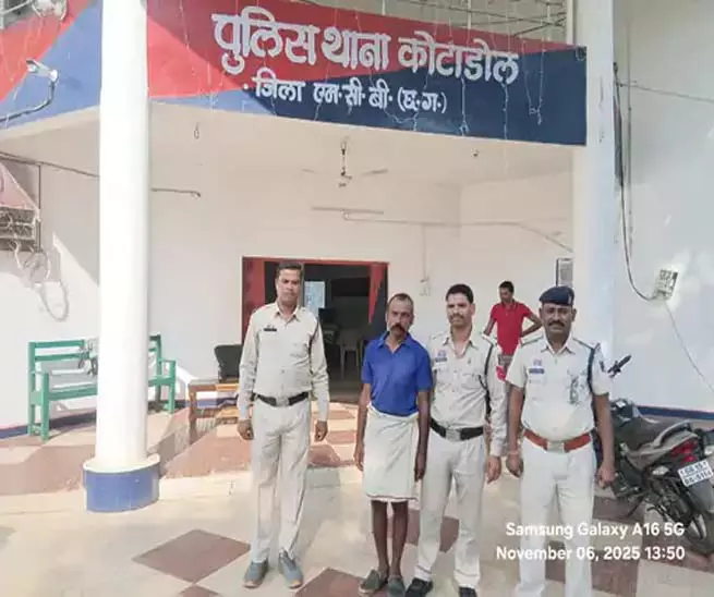 पुलिस ने पशु तस्करी रोकते हुए 11 भैसें की जब्त, आरोपी गिरफ्तार पुलिस ने पशु तस्करी रोकते हुए 11 भैसें की जब्त, आरोपी गिरफ्तार