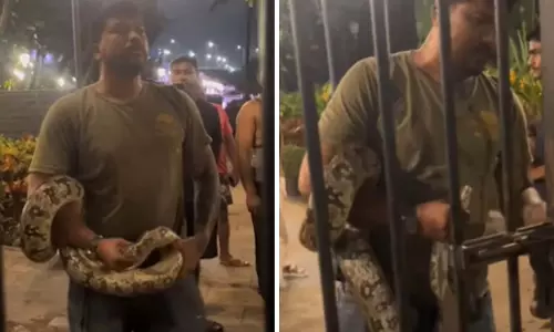 Mumbai : 6 फुट लंबे इंडियन रॉक पायथन को बचाया गया, सुरक्षित रूप से ग्रीन ज़ोन में छोड़ा गया Mumbai : 6 फुट लंबे इंडियन रॉक पायथन को बचाया गया, सुरक्षित रूप से ग्रीन ज़ोन में छोड़ा गया