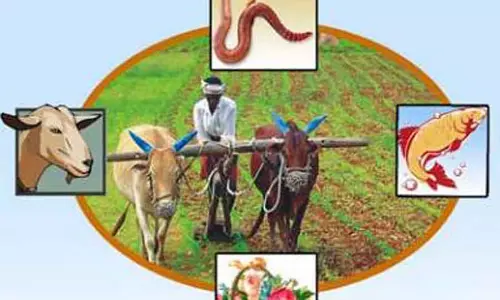 Karnataka : इंडियन हॉर्टिकल्चरल साइंस कांग्रेस आज से शुरू