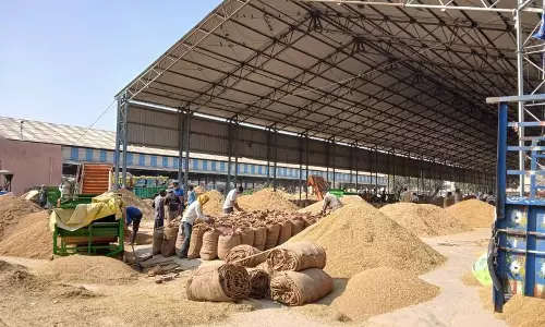 Haryana : सिरसा के धान किसानों के लिए कैसे एक स्मार्ट व्यवस्था खटाई में पड़ गई