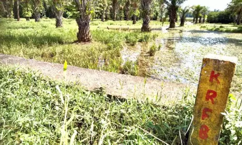 पंडालम बाईपास: सर्वेक्षण प्रक्रिया फिर से शुरू पंडालम बाईपास: सर्वेक्षण प्रक्रिया फिर से शुरू