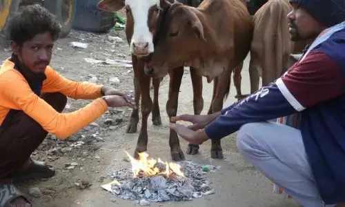 Odisha में सर्दी का पहला एहसास कोरापुट में सुबह धुंध और गर्म चाय की धूम
