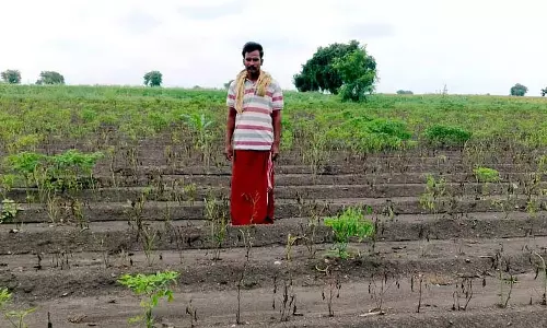 कीटनाशक के इस्तेमाल से किसान की 3 एकड़ फसल बर्बाद हो गई: किसानों ने अधिकारी को बंधक बनाया कीटनाशक के इस्तेमाल से किसान की 3 एकड़ फसल बर्बाद हो गई: किसानों ने अधिकारी को बंधक बनाया