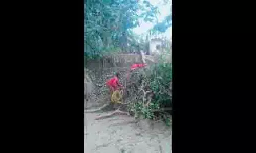 Lucknow चिड़ियाघर में बदमाशों ने हिरण के बच्चे को पकड़ने की कोशिश की