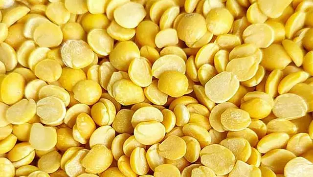 अन्नभाग्य योजना: इंदिरा फूड किट में चने की जगह दाल देने का फैसला अन्नभाग्य योजना: इंदिरा फूड किट में चने की जगह दाल देने का फैसला