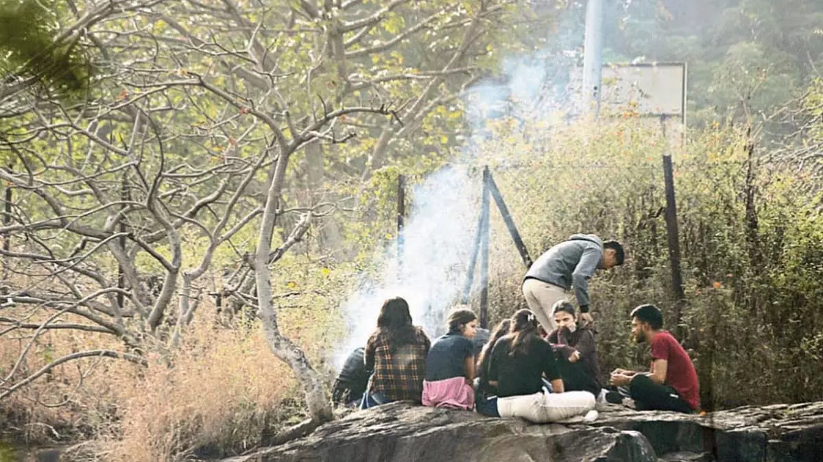 Pune : कॉलेज स्टूडेंट्स ने वेताल टेकरी पर बोनफायर पर मैगी बनाकर हंगामा खड़ा कर दिया Pune : कॉलेज स्टूडेंट्स ने वेताल टेकरी पर बोनफायर पर मैगी बनाकर हंगामा खड़ा कर दिया