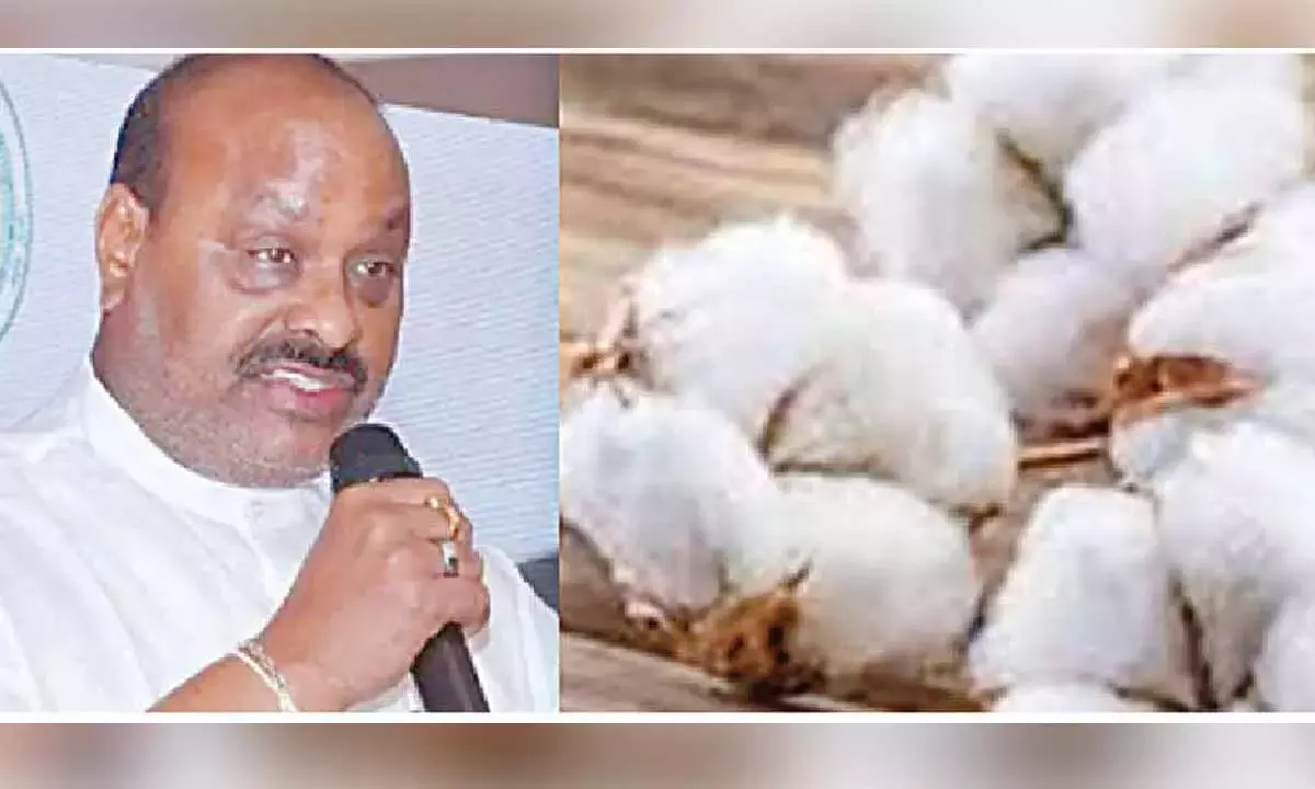 Andhra ने चक्रवात प्रभावित कपास किसानों के लिए केंद्र से मदद मांगी Andhra ने चक्रवात प्रभावित कपास किसानों के लिए केंद्र से मदद मांगी