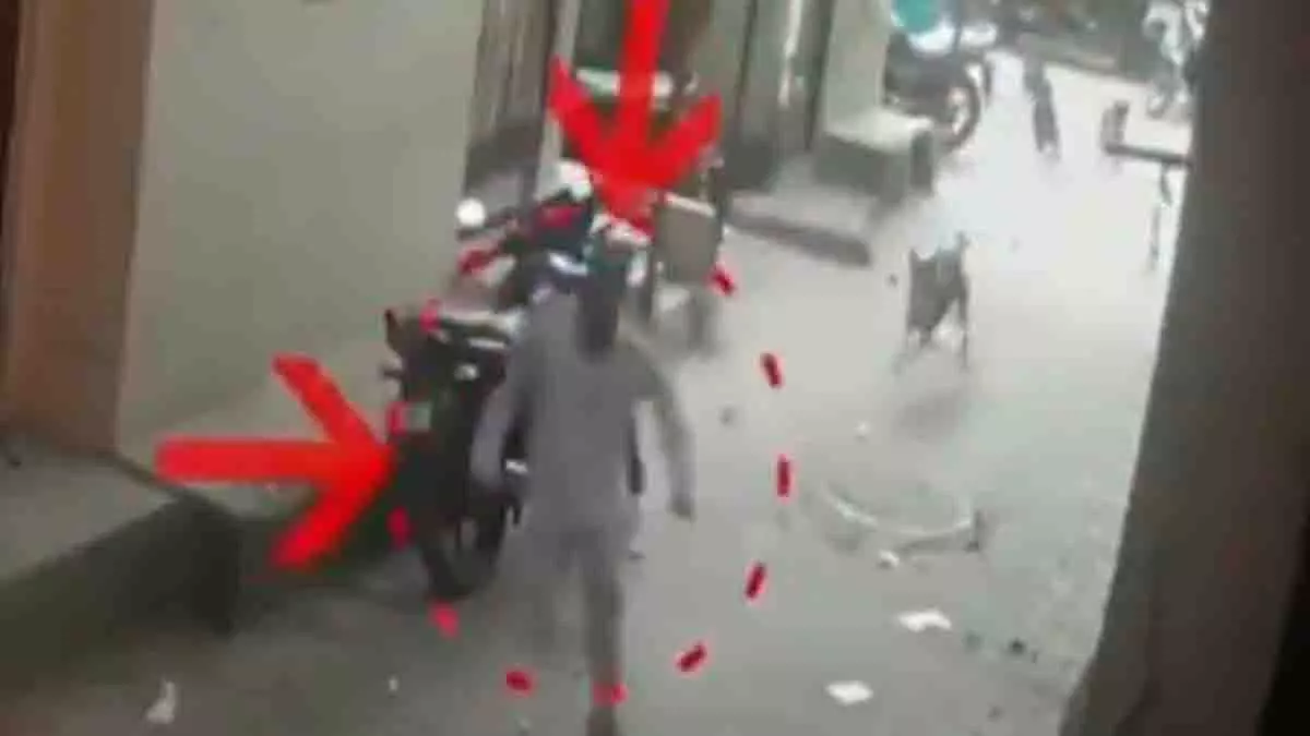 Surat में आवारा कुत्तों से बचने की कोशिश में सड़क पर गिरे व्यक्ति की मौत Surat में आवारा कुत्तों से बचने की कोशिश में सड़क पर गिरे व्यक्ति की मौत