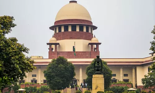 सड़क पर नहीं दिखने चाहिए एक भी आवारा कुत्ते, सुप्रीम कोर्ट सख्त सड़क पर नहीं दिखने चाहिए एक भी आवारा कुत्ते, सुप्रीम कोर्ट सख्त