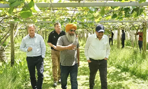 कीवी-भारतीय किसानों के बहुत उत्पादक बाग के दौरे के लिए आभारी हूं: पीयूष गोयल