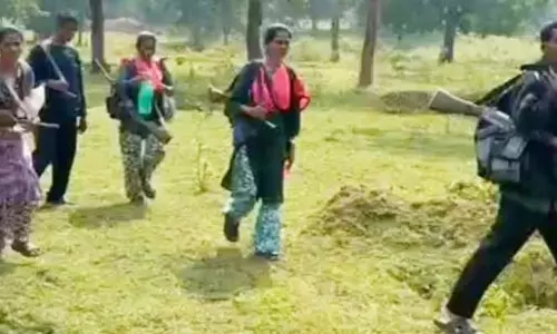 धमतरी-ओड़िसा बॉर्डर में सक्रिय 8 नक्सलियों ने किया सरेंडर