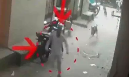 Surat में आवारा कुत्तों से बचने की कोशिश में सड़क पर गिरे व्यक्ति की मौत