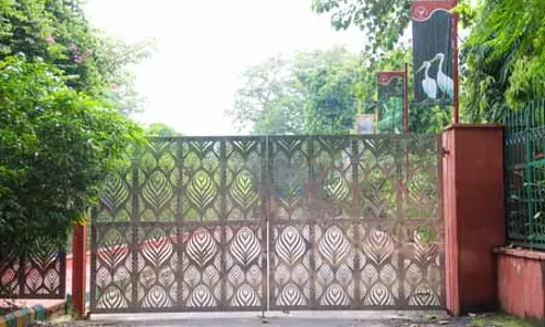 राष्ट्रीय प्राणी उद्यान 8 नवंबर से खुलेगा, बर्ड फ्लू पर नियंत्रण पाया गया राष्ट्रीय प्राणी उद्यान 8 नवंबर से खुलेगा, बर्ड फ्लू पर नियंत्रण पाया गया
