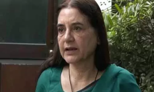 आवारा कुत्तों के संबंध में आए सुप्रीम कोर्ट के फैसले पर मेनका गांधी ने उठाए सवाल आवारा कुत्तों के संबंध में आए सुप्रीम कोर्ट के फैसले पर मेनका गांधी ने उठाए सवाल