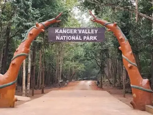 120 विदेशी पर्यटकों ने बस्तर की प्राकृतिक वादियों का उठाया लुत्फ 120 विदेशी पर्यटकों ने बस्तर की प्राकृतिक वादियों का उठाया लुत्फ