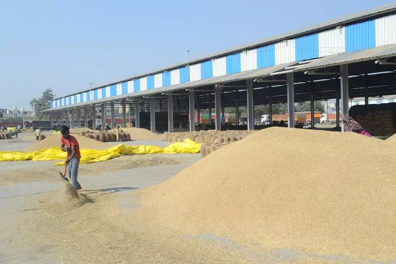 Haryana में 5 लाख मीट्रिक टन अतिरिक्त धान की आवक दर्ज Haryana में 5 लाख मीट्रिक टन अतिरिक्त धान की आवक दर्ज