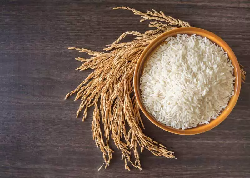 Himachal में खाद्य सुरक्षा अधिनियम के 20% लाभार्थी संदिग्ध Himachal में खाद्य सुरक्षा अधिनियम के 20% लाभार्थी संदिग्ध