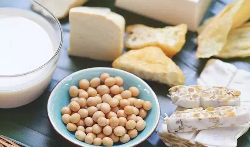 Probiotic खाद्य पदार्थ क्या हैं? इनसे क्या लाभ होते हैं? Probiotic खाद्य पदार्थ क्या हैं? इनसे क्या लाभ होते हैं?
