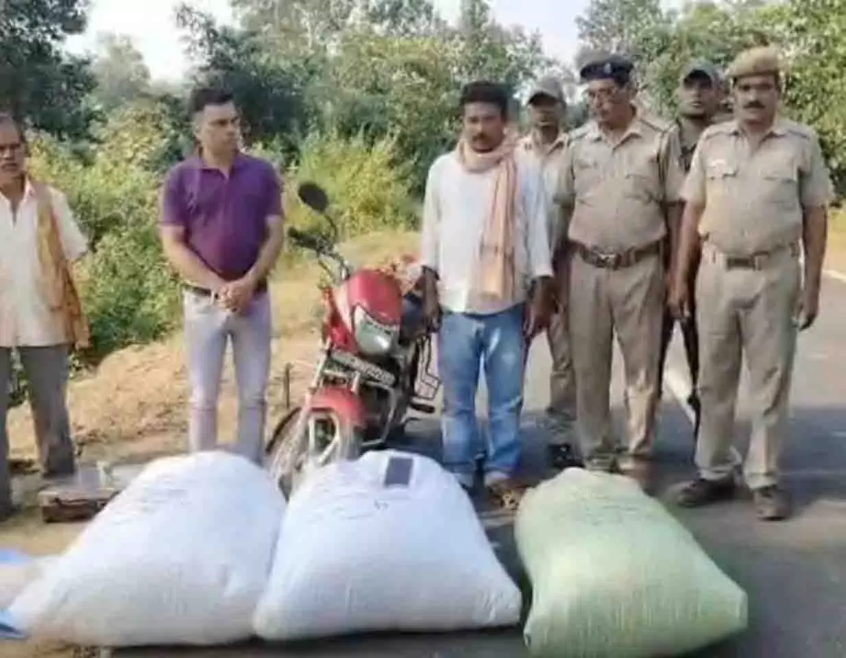 ओडिशा में छापेमारी के दौरान 70 किलोग्राम गांजा जब्त, एक गिरफ्तार ओडिशा में छापेमारी के दौरान 70 किलोग्राम गांजा जब्त, एक गिरफ्तार