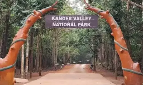 120 विदेशी पर्यटकों ने बस्तर की प्राकृतिक वादियों का उठाया लुत्फ 120 विदेशी पर्यटकों ने बस्तर की प्राकृतिक वादियों का उठाया लुत्फ