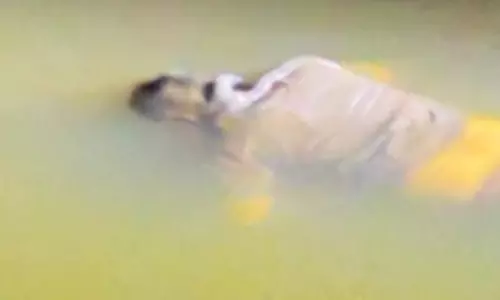 वकील की लाश संदिग्ध हालत में मिली, बिलासपुर पुलिस की जांच जारी