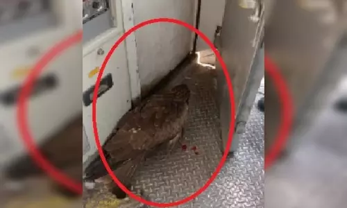 वो पल...जब ट्रेन का कांच टूटा! यात्रियों की सांसे अटकी