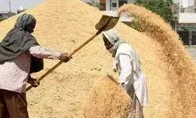 Telangana : सांसद ने धान खरीद के सभी चरणों में धोखाधड़ी का आरोप लगाया