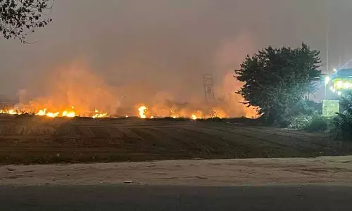 Punjab: पराली से निपटने में खराब उठान, जैव ईंधन के रूप में उपयोग की कमी प्रमुख मुद्दे Punjab: पराली से निपटने में खराब उठान, जैव ईंधन के रूप में उपयोग की कमी प्रमुख मुद्दे