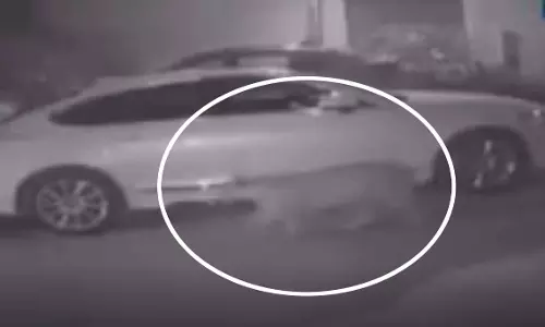 लोगों में दहशत...CCTV में ये क्या कैद हो गया!
