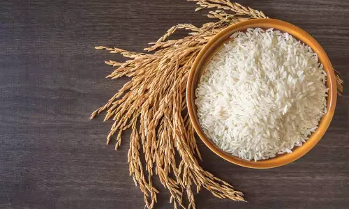 Himachal में खाद्य सुरक्षा अधिनियम के 20% लाभार्थी संदिग्ध Himachal में खाद्य सुरक्षा अधिनियम के 20% लाभार्थी संदिग्ध