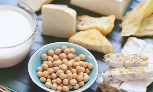 Probiotic खाद्य पदार्थ क्या हैं? इनसे क्या लाभ होते हैं? Probiotic खाद्य पदार्थ क्या हैं? इनसे क्या लाभ होते हैं?