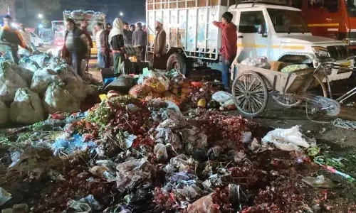 Himachal: सेक्टर 26 मंडी में बदबू से राहत नहीं