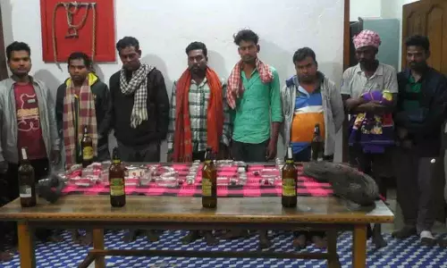 Odisha: बिजली के तार से सूअर का शिकार, 11 गिरफ्तार Odisha: बिजली के तार से सूअर का शिकार, 11 गिरफ्तार