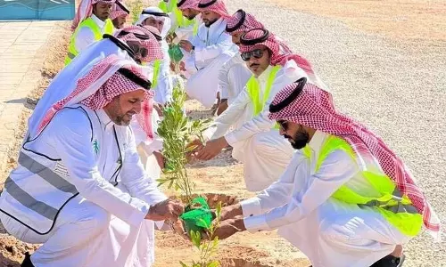 Saudi Arabia  के नॉर्दर्न बॉर्डर्स में बड़े पैमाने पर पेड़ लगाने का अभियान शुरू